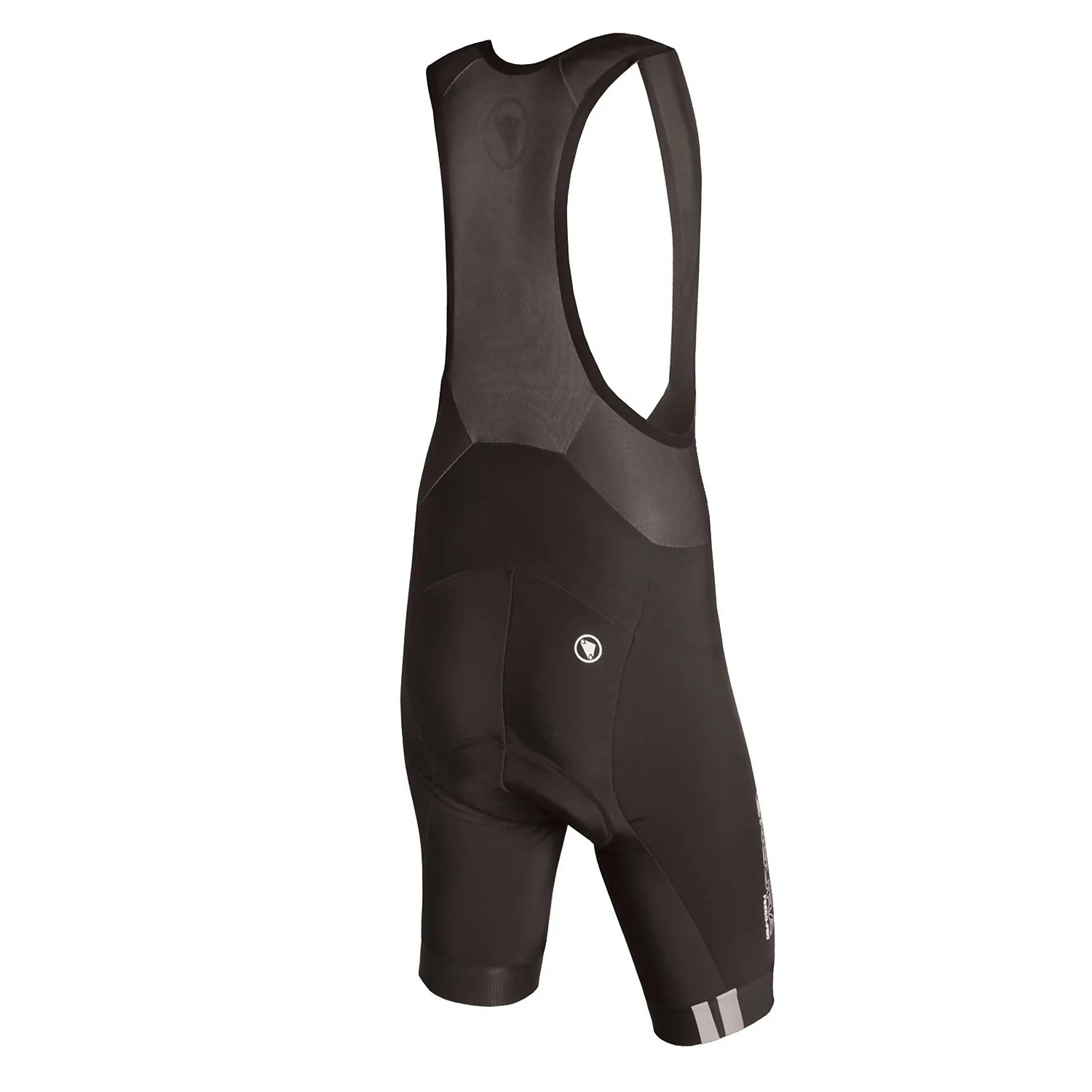Endura FS260-Pro Thermo Bibshort - Black 4 Endura FS260-Pro Thermo Bibshort - Black - Image 2