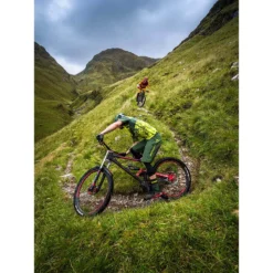 Endura BaaBaa Merino Stripe Sock - Forest Green 7 Endura BaaBaa Merino Stripe Sock - Forest Green -Endura 12928606 6044850301383901