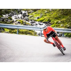 Endura Women's FS260-Pro S/S Jersey - Berry -Endura 12936492 2094850318375304