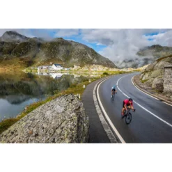 Endura Women's Paisley S/S Jersey LTD - Berry -Endura 13648108 1144938175313313