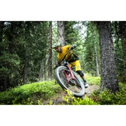 Endura MT500 MIPS® Helmet - Spruce Green 10 Endura MT500 MIPS® Helmet - Spruce Green -Endura 13649254 1264938386703492