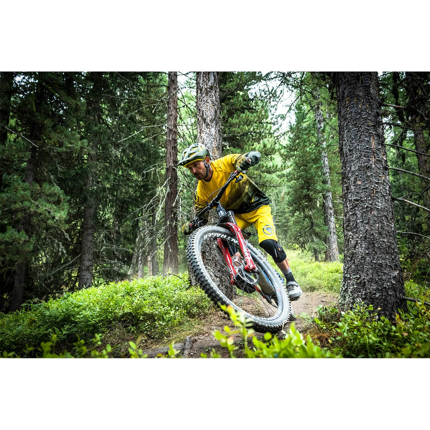 Endura MT500 MIPS® Helmet - Spruce Green 5 Endura MT500 MIPS® Helmet - Spruce Green - Image 3